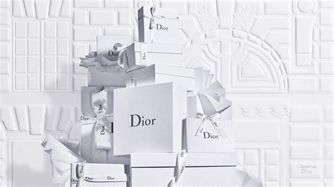 Dior website France